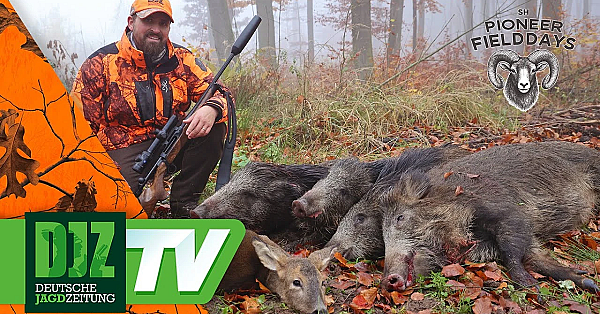 Erfolgreiche Drückjagd Bei Den Sh Pioneer Fielddays