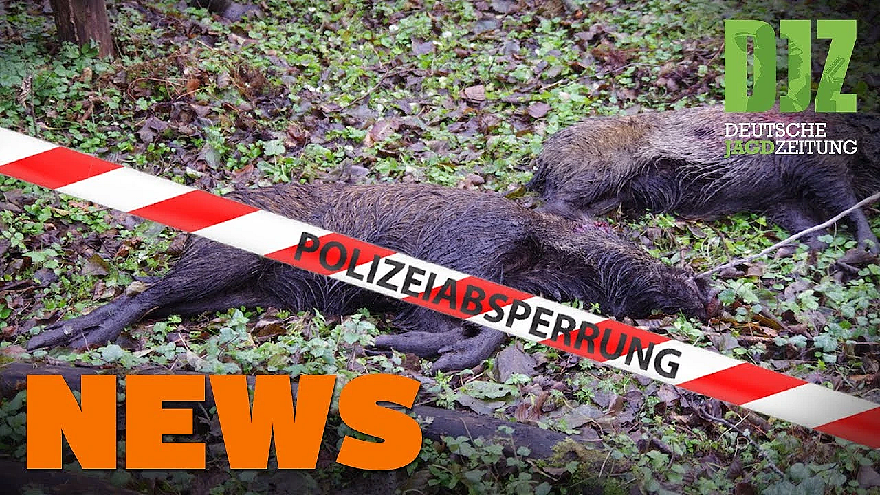 Polizei Sucht Wildkameras, Biberfalle Entdeckt, Asp-update U.w. - Djz-news 39/2020