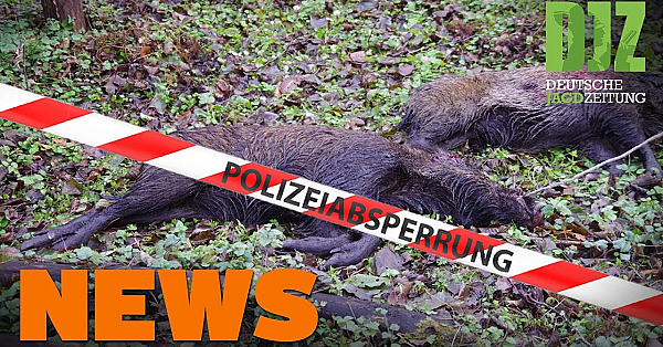 Polizei Sucht Wildkameras, Biberfalle Entdeckt, Asp-update U.w. - Djz-news 39/2020
