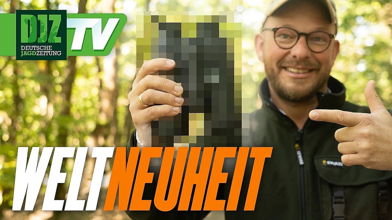 Kann DAS wirklich ein Fernglas ersetzen?! Nocpix Omni in der Praxis getestet