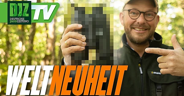 Kann DAS wirklich ein Fernglas ersetzen?! Nocpix Omni in der Praxis getestet