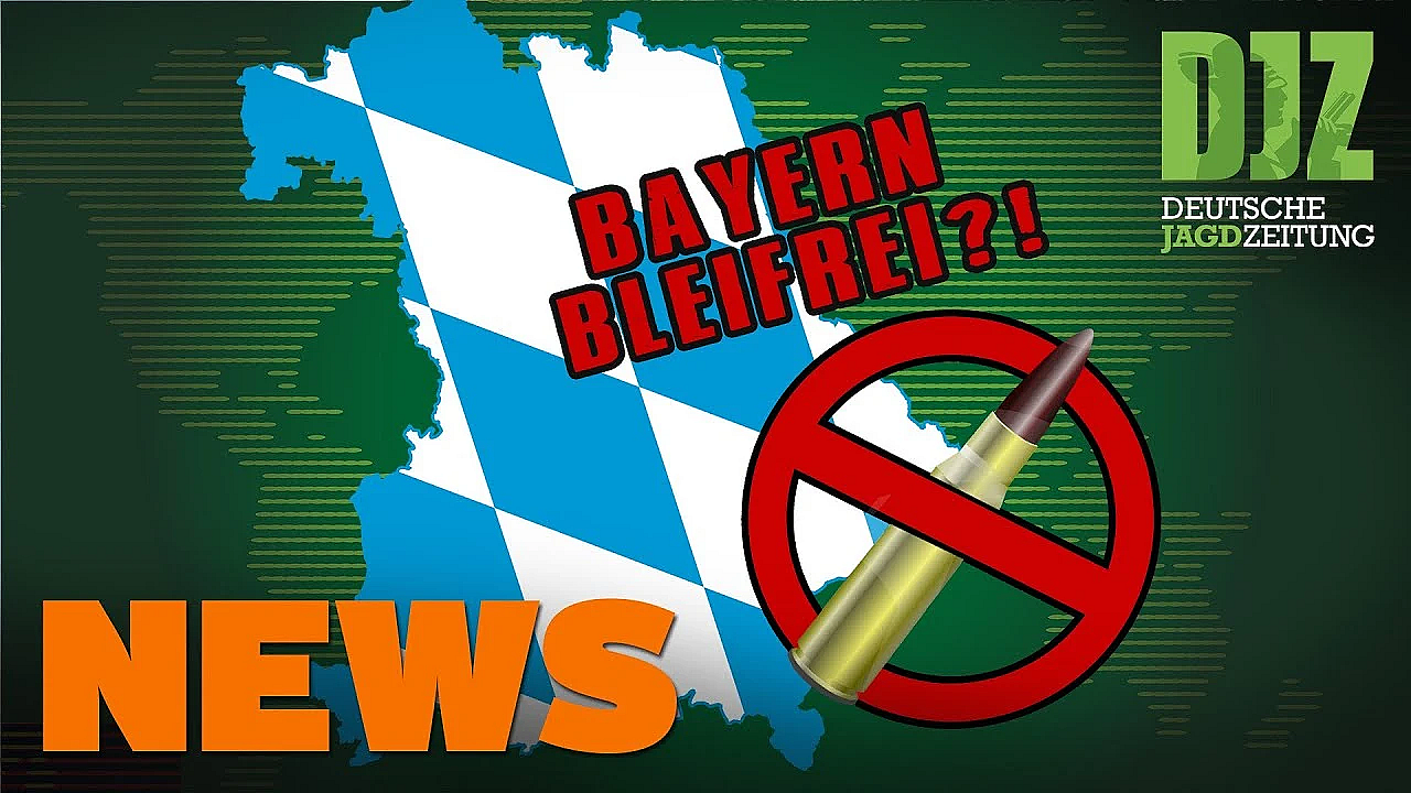 Überraschung Beim Abschwarten, Schimmelpilzgift Fördert Fruchtbarkeit U.w. - Djz-news 32/2021