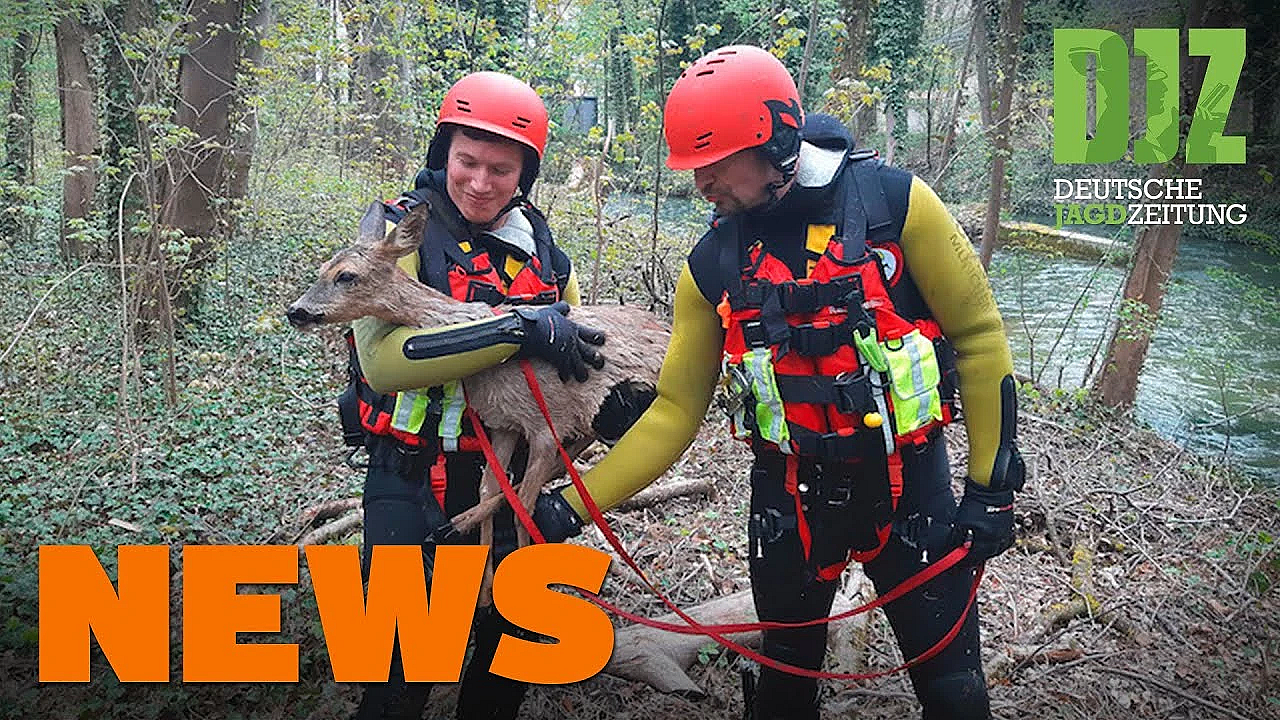 Nagelfallen Im Waldstück, Feuerwehr Im Englischen Garten, Ferrari Contra Reh U.w. - Djz-news 18/2021