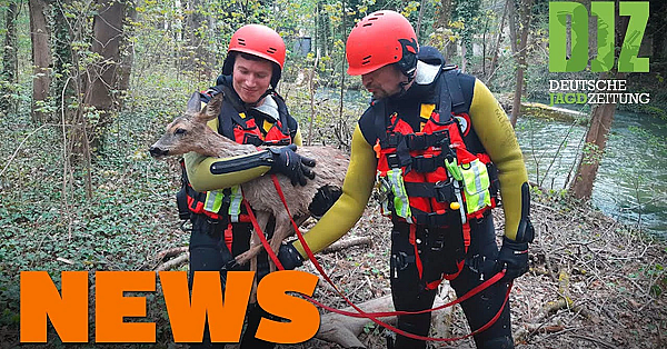 Nagelfallen Im Waldstück, Feuerwehr Im Englischen Garten, Ferrari Contra Reh U.w. - Djz-news 18/2021