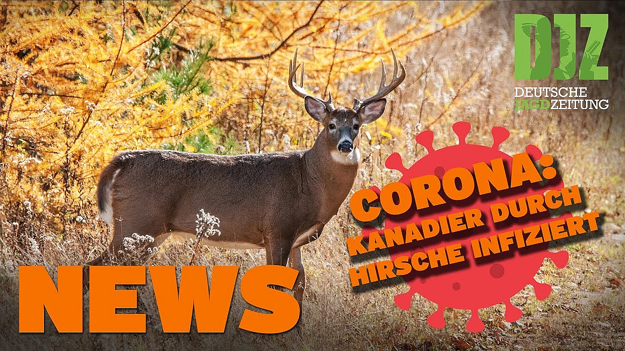 Grüne Ukraine-hilfe, 100.000 Euro Für Drohnen, Feuerwehreinsatz U.w. - Djz News 10/2022