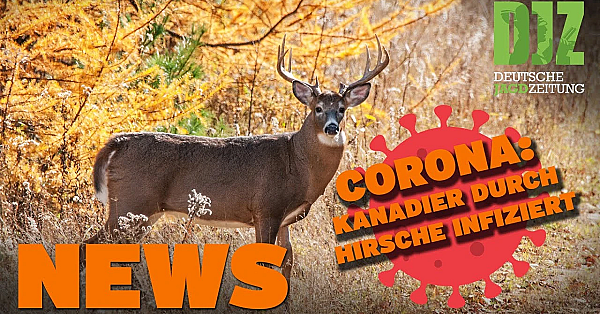 Grüne Ukraine-hilfe, 100.000 Euro Für Drohnen, Feuerwehreinsatz U.w. - Djz News 10/2022