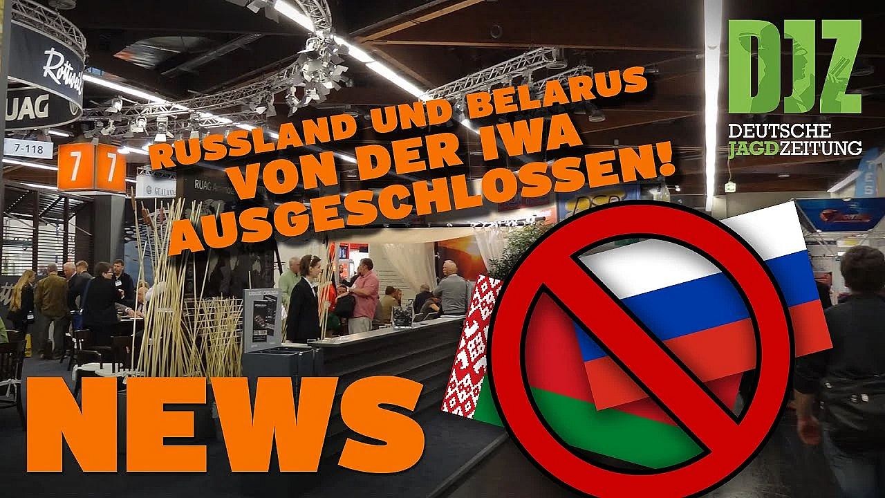 Iwa-start, Wolf Im Gartenteich, Jagdunfälle Auf Tiefstand U.w. - Djz News 9/2022