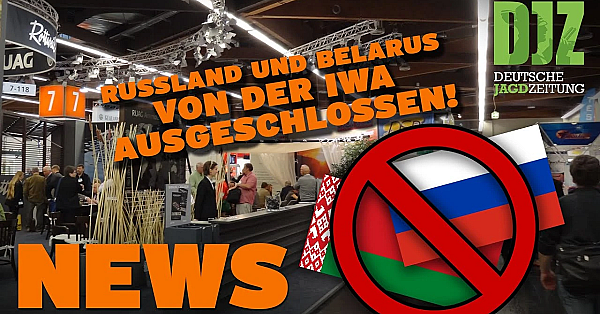 Iwa-start, Wolf Im Gartenteich, Jagdunfälle Auf Tiefstand U.w. - Djz News 9/2022