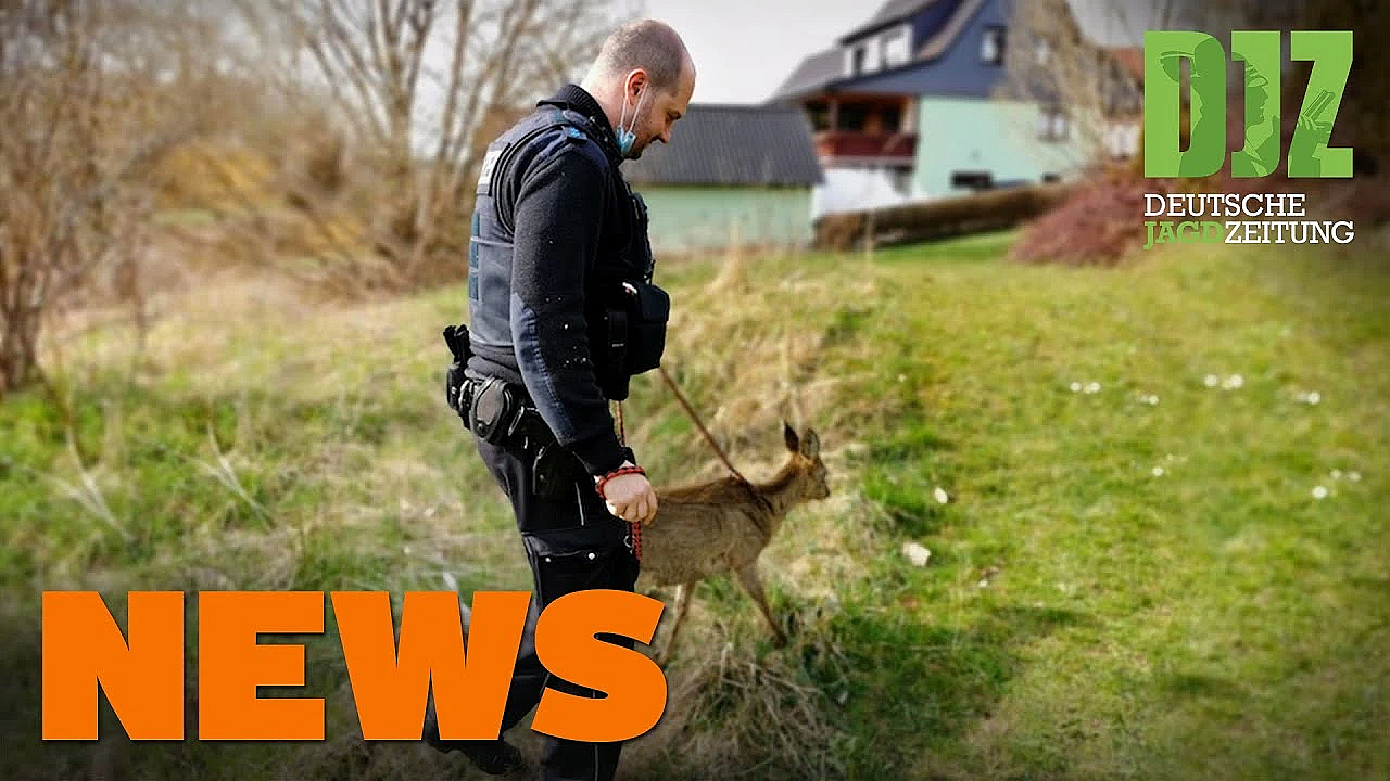 Abfragepflicht Beim Gesundheitsamt, Welpenhandel, Rehrettung U.w. - Djz-news 15/2021