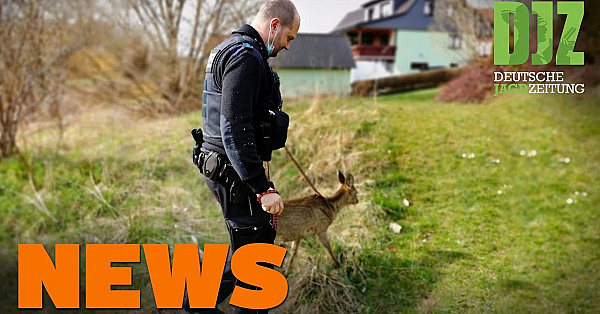 Abfragepflicht Beim Gesundheitsamt, Welpenhandel, Rehrettung U.w. - Djz-news 15/2021