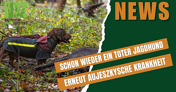 Djz-news 17. Dezember 2025 - Die Jagd-news Der Woche!