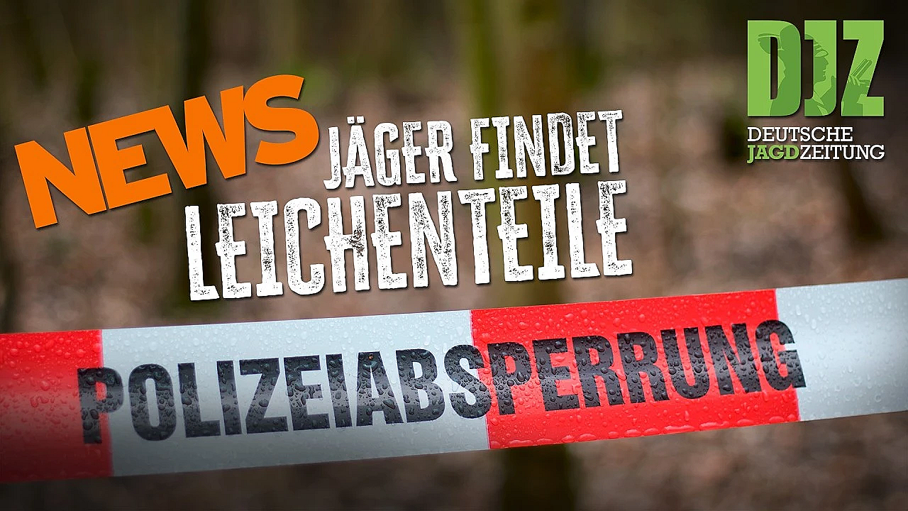 DJZ-News – Die wichtigsten Jagdthemen der Woche! 🦌📰