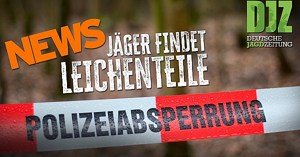 DJZ-News – Die wichtigsten Jagdthemen der Woche! 🦌📰