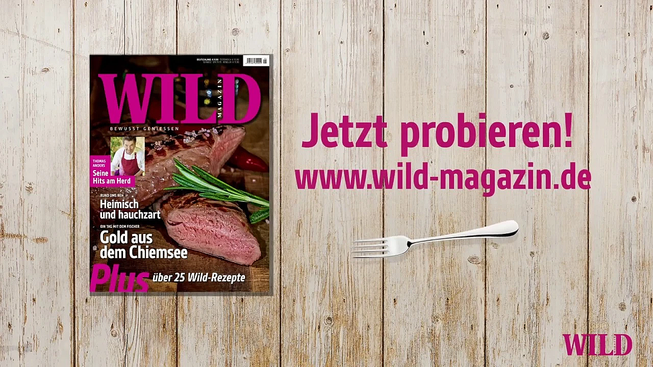 Die Neue Wild - Jetzt Im Handel!