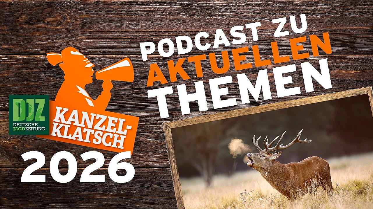 DJZ-Kanzelklatsch – Faszination Rotwildbrunft