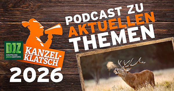 DJZ-Kanzelklatsch – Faszination Rotwildbrunft