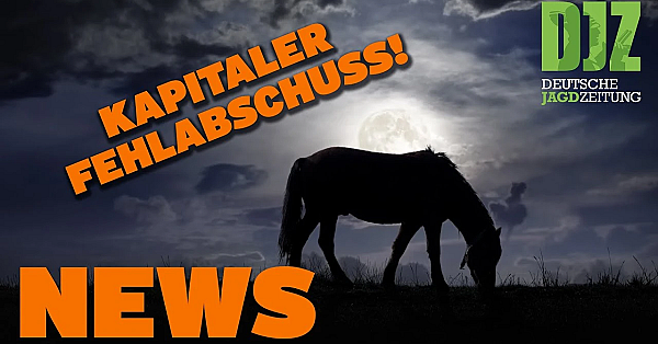 Kapitaler Fehlabschuss, Kaiserslautern Zieht Notbremse, Zoo Hannover U.w. - Djz News 16/2022