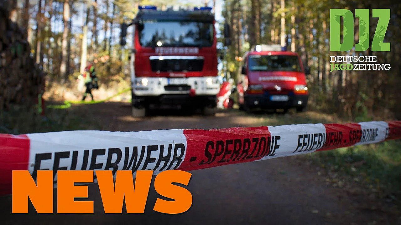 Radfahrer Kollidiert Mit Reh, Wölfe In Der Heide, Brennender Hochsitz - Djz News 41/2021