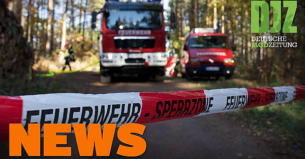Radfahrer Kollidiert Mit Reh, Wölfe In Der Heide, Brennender Hochsitz - Djz News 41/2021