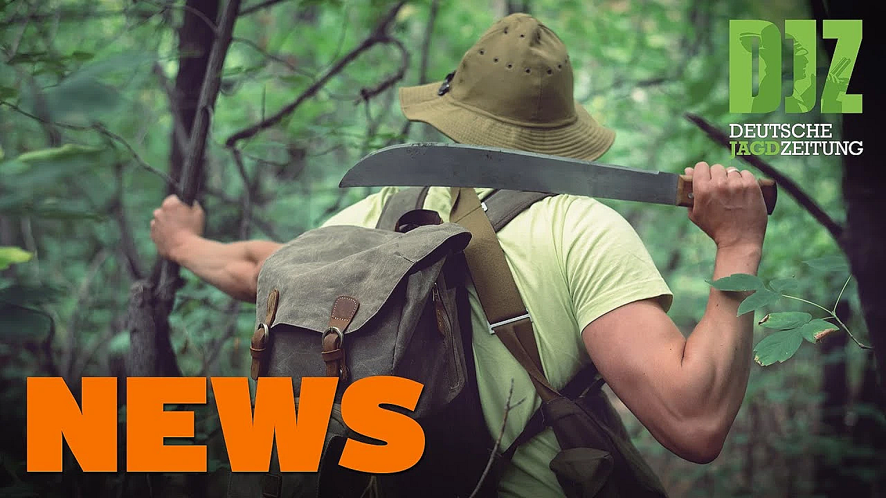 Asp Breitet Sich Aus, Waidfräulein Schießt Zurück, Macheten-mann U.w. - Djz-news 40/2020