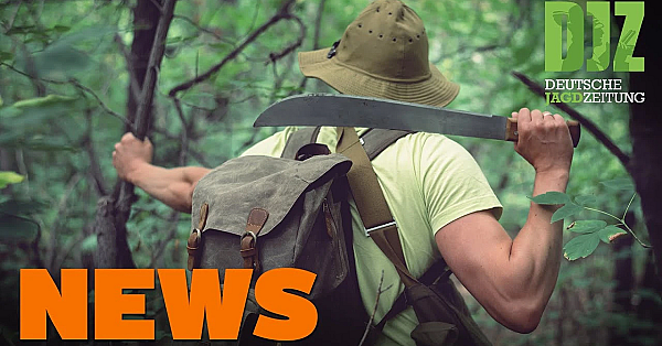 Asp Breitet Sich Aus, Waidfräulein Schießt Zurück, Macheten-mann U.w. - Djz-news 40/2020