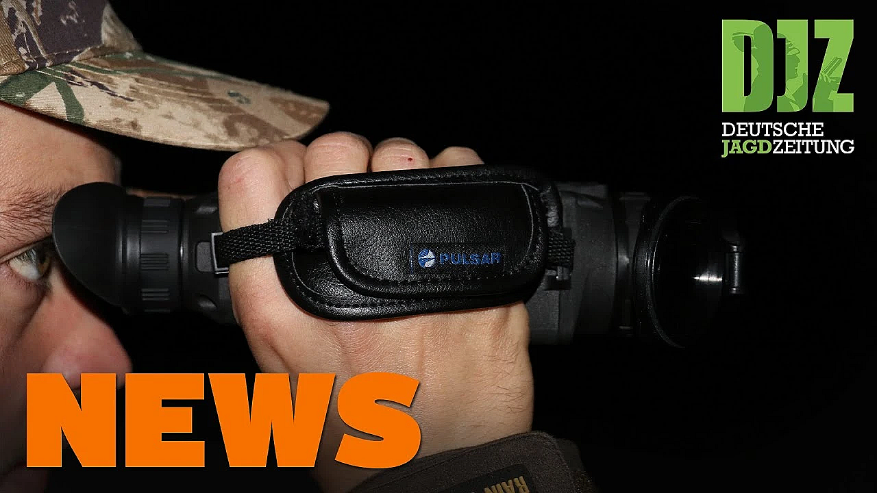 Hirsch Geklaut, Wiederkäuer Auf Allzeithoch, Jäger Entdecken Einbrecher U.w. - Djz-news 36/2020