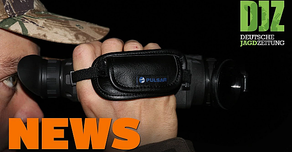 Hirsch Geklaut, Wiederkäuer Auf Allzeithoch, Jäger Entdecken Einbrecher U.w. - Djz-news 36/2020