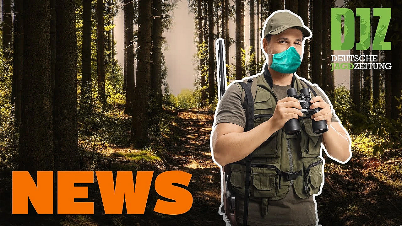 Jagd In Brandenburg Erlaubt, Asp Rückt Näher, Wildgehege-einbruch In Österreich - Djz-news 13/2020