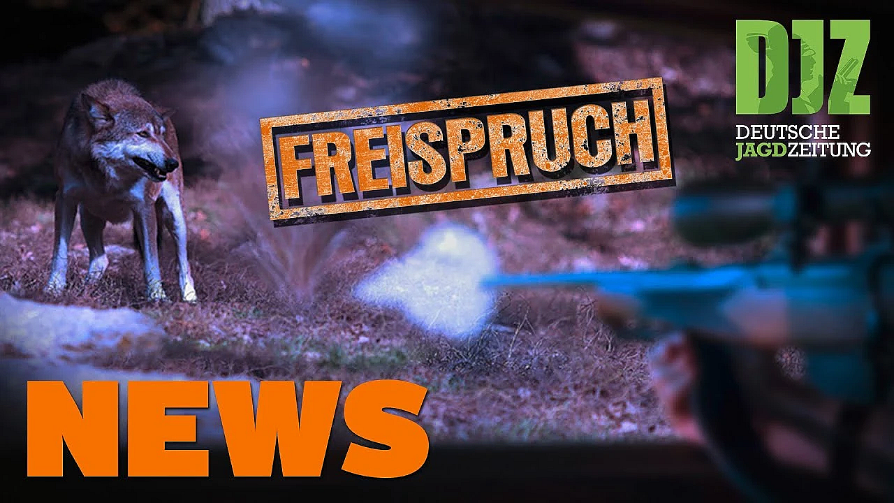 Wolfsschütze Freigesprochen, Müllsünder, Landwirt Verhindert Kitzrettung U.w. - Djz-news 25/2021