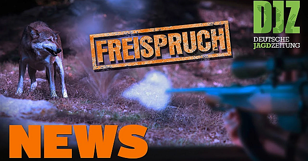Wolfsschütze Freigesprochen, Müllsünder, Landwirt Verhindert Kitzrettung U.w. - Djz-news 25/2021