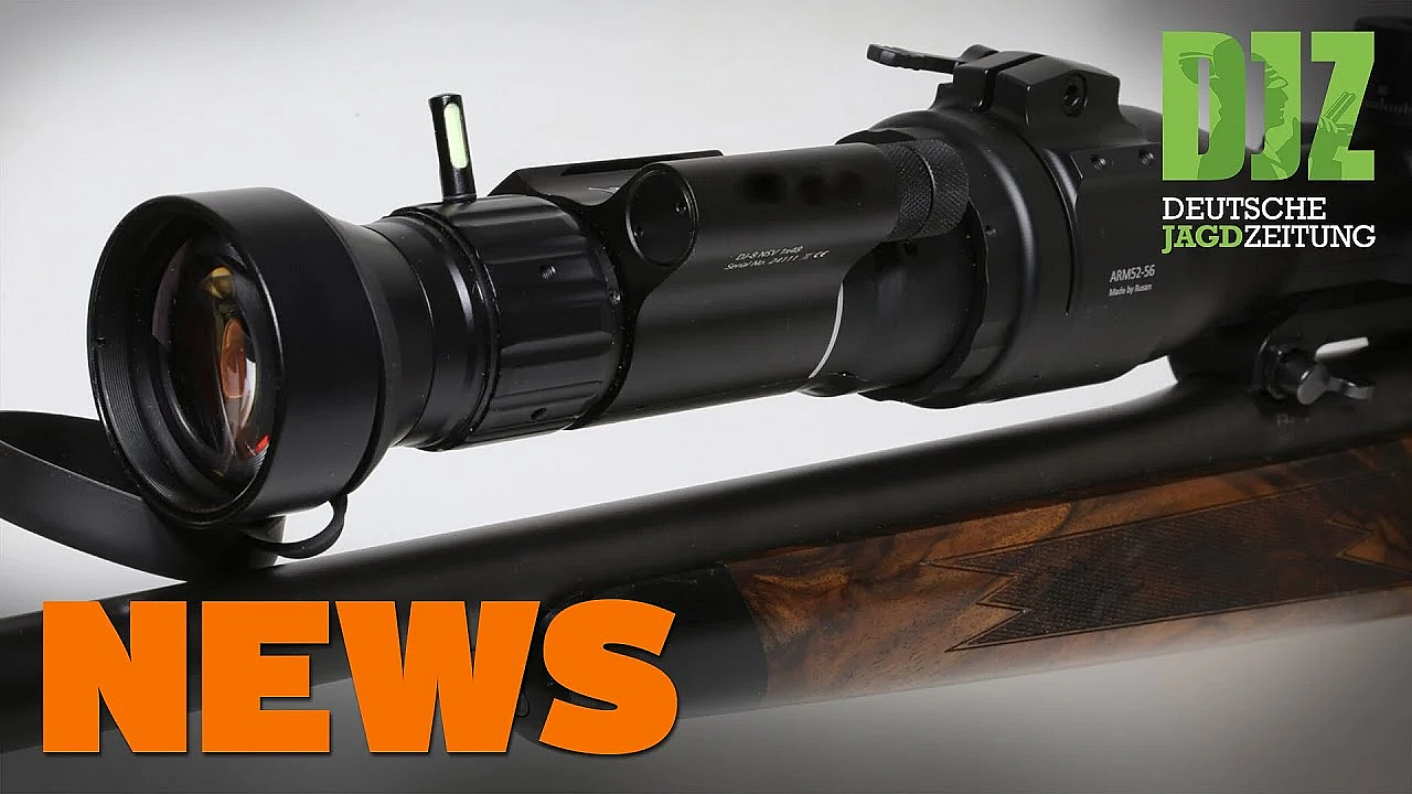 Sicht Im Dunkeln, Dauerbrenner Wolf, Wo Ist Snoopy U.w. - Djz-news 27/2020