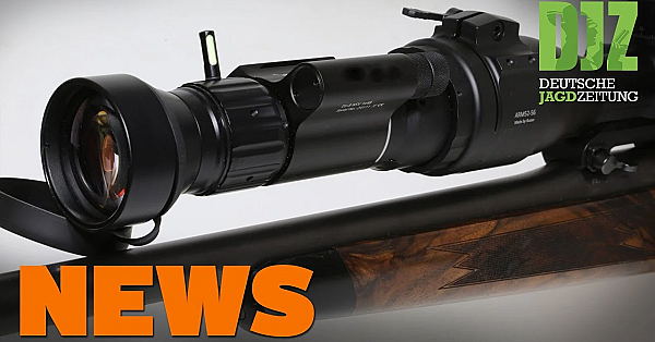 Sicht Im Dunkeln, Dauerbrenner Wolf, Wo Ist Snoopy U.w. - Djz-news 27/2020