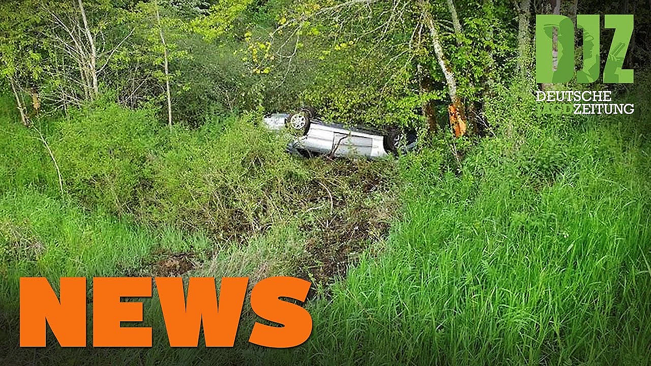 Jäger Findet Fahrzeugwrack, Kuh Auf Autobahn, Ljv Fordert Aufklärung U.w. - Djz-news 22/2021