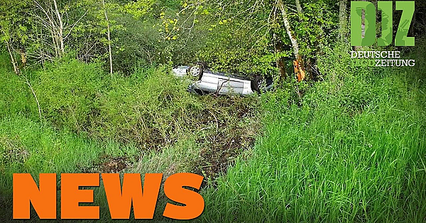 Jäger Findet Fahrzeugwrack, Kuh Auf Autobahn, Ljv Fordert Aufklärung U.w. - Djz-news 22/2021