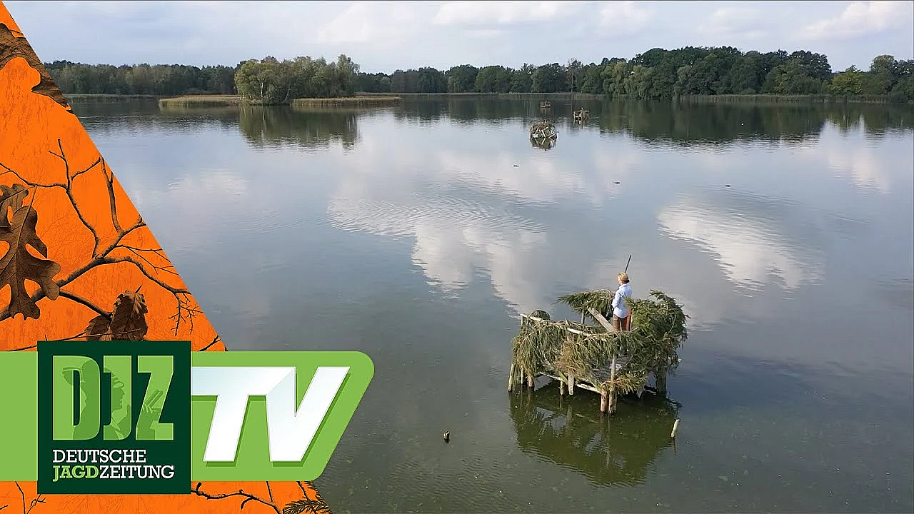 Entenjagd In Sachsen - Pareygo Classics