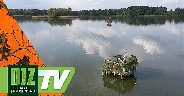 Entenjagd In Sachsen - Pareygo Classics