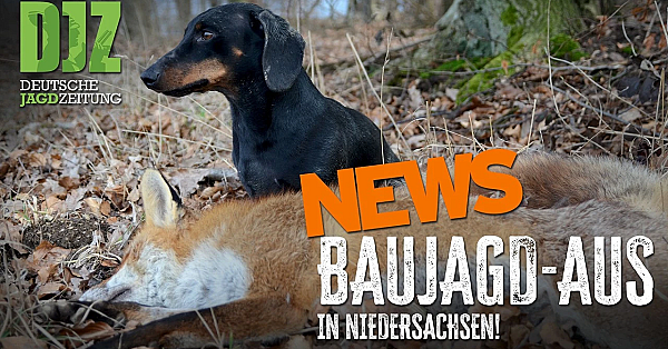 Jagdgesetz, Luchs und Rotwild: Das bewegt die Jägerschaft | DJZ-News