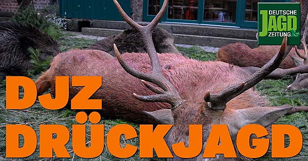 1. Testjagd Im Neuen Djz Testrevier