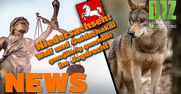 Jagdgesetznovelle In Niedersachsen Verabschiedet, Wolf Im Jagdrecht U.w. - Djz News Vom 18.5.22