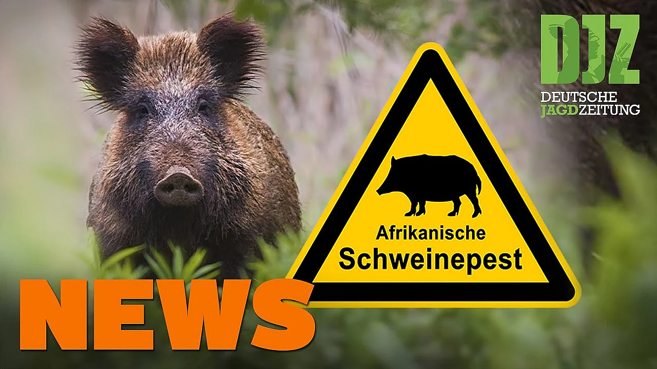 Rasender Entenjäger, Explosion Im Hochsitz, Messe Im Mai U.w. - Djz-news 44/2020