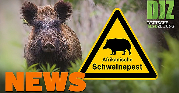 Rasender Entenjäger, Explosion Im Hochsitz, Messe Im Mai U.w. - Djz-news 44/2020