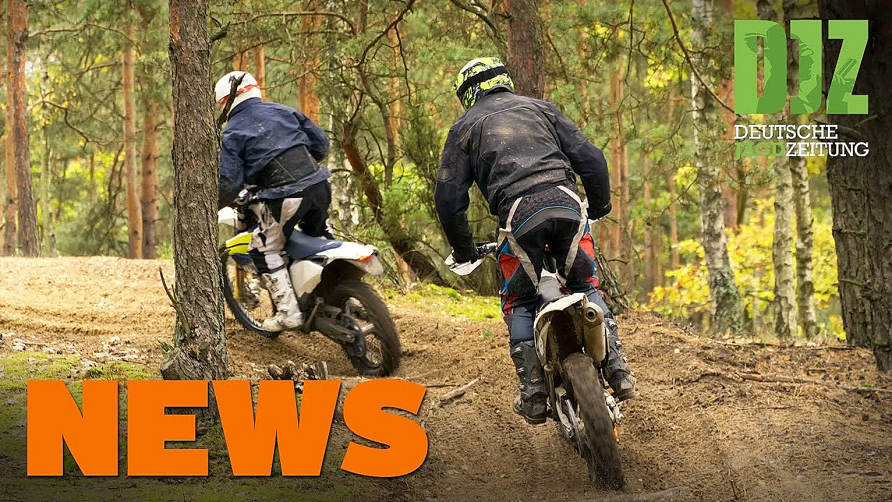 Nutria Attackiert Terrier, Flammen Gegen Asp, Jäger Vs. Hundehalter U.w. - Djz-news 9/2021