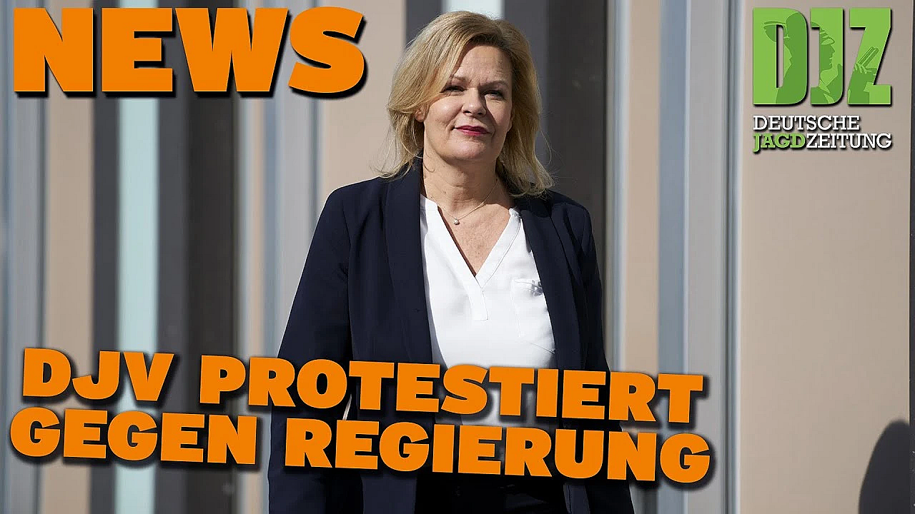 Djz News 11.09.2024