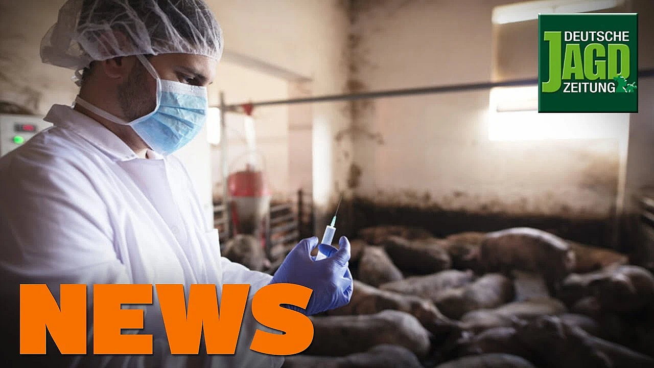 China Entwickelt Impfstoff, Jagdschein Schnell Beantragen, Nutria U.w. - Djz-news 10/2020