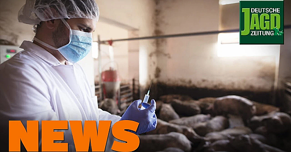 China Entwickelt Impfstoff, Jagdschein Schnell Beantragen, Nutria U.w. - Djz-news 10/2020