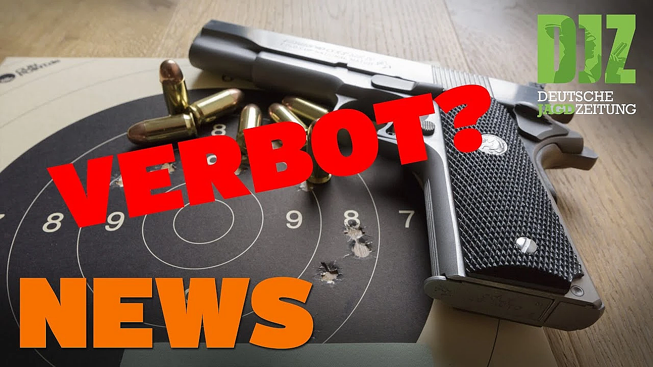 Grünes Grundsatzprogramm, Friedhofsjäger, Berliner Saujagdregeln U.w. - Djz-news 28/2020