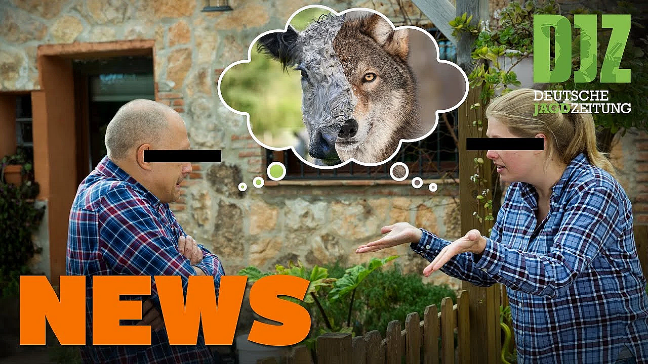 Konflikt Mit Wolfsberaterin Eskaliert, Damhirsch-rettungsaktion U.w. - Djz-news 13/2021