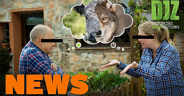Konflikt Mit Wolfsberaterin Eskaliert, Damhirsch-rettungsaktion U.w. - Djz-news 13/2021