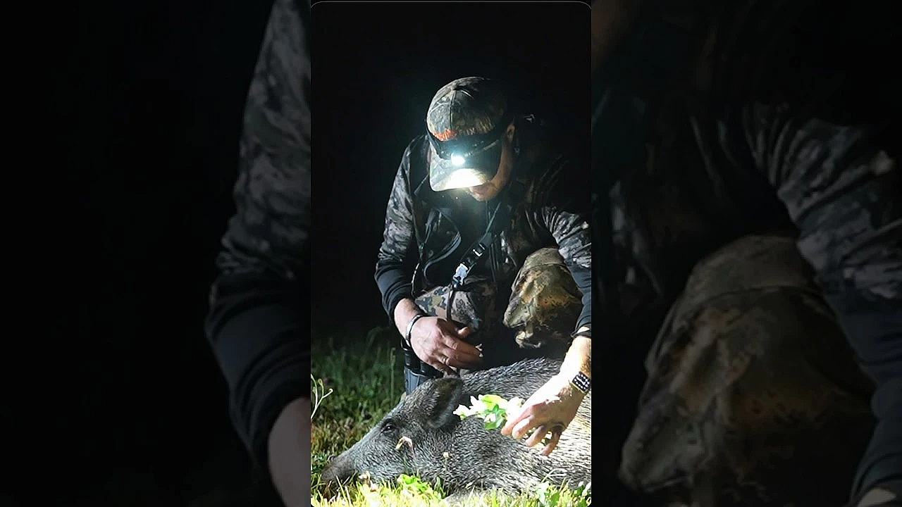 Jeder Sauenjäger fühlt es. #wildschweinjagd  #handwerk