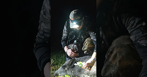 Jeder Sauenjäger fühlt es. #wildschweinjagd  #handwerk